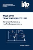 Wege zum Trinkwassernetz 2030 (eBook, PDF)