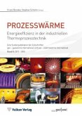 Prozesswärme (eBook, PDF)