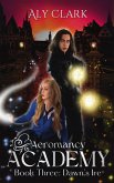 Dawn's Ire (Aeromancy Academy, #3) (eBook, ePUB) Dawn's Ire (Aeromancy Academy, #3) (eBook, ePUB)