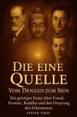 Die eine Quelle - Vom Denken zum Sein, Ein geistiges Essay über Freud, Fromm, Buddha und den Ursprung des Erkennens (eBook, ePUB)