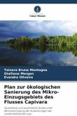 Plan zur ökologischen Sanierung des Mikro-Einzugsgebiets des Flusses Capivara