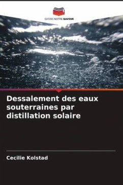 Dessalement des eaux souterraines par distillation solaire - Kolstad, Cecilie