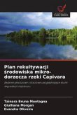 Plan rekultywacji ¿rodowiska mikro-dorzecza rzeki Capivara