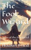 The Fool Wizard (The Fractured Veil, #1) (eBook, ePUB)