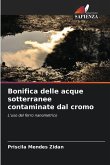 Bonifica delle acque sotterranee contaminate dal cromo