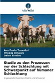 Studie zu den Prozessen vor der Schlachtung mit Schwerpunkt auf humaner Schlachtung Studie zu den Prozessen vor der Schlachtung mit Schwerpunkt auf humaner Schlachtung