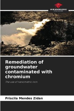 Cover Remediation of groundwater contaminated with chromium