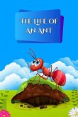 The Life of an Ant