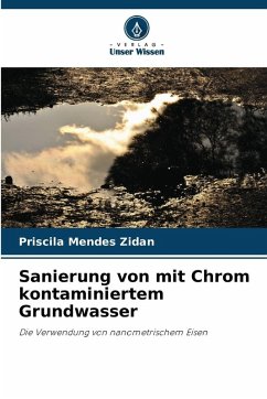 Sanierung von mit Chrom kontaminiertem Grundwasser - Mendes Zidan, Priscila