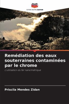 Cover Remédiation des eaux souterraines contaminées par le chrome