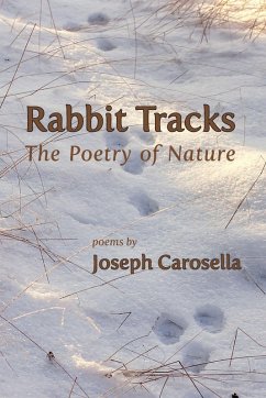 Cover Rabbit Tracks