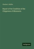 Report of the Condition of the Chippewas of Minnesota