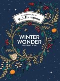 Winter Wonder Coloring Book Winter Wonder Coloring Book
