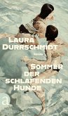 Sommer der schlafenden Hunde (eBook, ePUB)