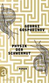 Physik der Schwermut (eBook, ePUB)