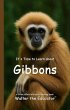 It's Time to Learn about Gibbons... - Bild 1