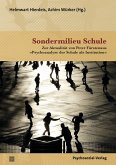Sondermilieu Schule (eBook, PDF)