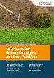 SAP S/4HANA: Rollout Strategies und... - Bild 1