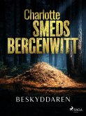 Beskyddaren (eBook, ePUB)