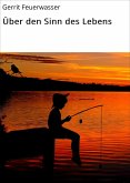 Über den Sinn des Lebens (eBook, ePUB)