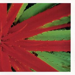 Cover This Afternoons Malady