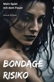 Bondage Risiko (eBook, ePUB)