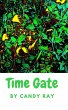 Time Gate (eBook, ePUB) - Bild 1