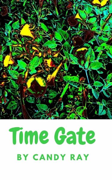 Time Gate (eBook, ePUB) Time Gate (eBook, ePUB)