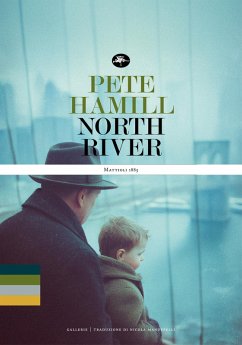North River (eBook, ePUB) - Hamill, Pete