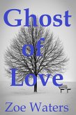 Ghost of Love: Life After Death Erotica (eBook, ePUB)