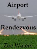 Airport Rendezvous (eBook, ePUB)