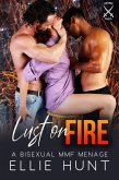 Lust on Fire: A Bisexual MMF Menage (Bisexual Threesome Pleasures, #6) (eBook, ePUB)