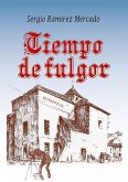 Tiempo de fulgor (eBook, ePUB)