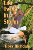 Like Twigs in a Storm (eBook, ePUB) Like Twigs in a Storm (eBook, ePUB)