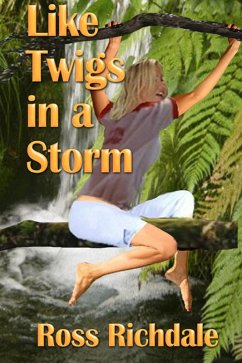 Cover Like Twigs in a Storm (eBook, ePUB)