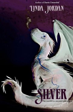 Cover Silver (eBook, ePUB)