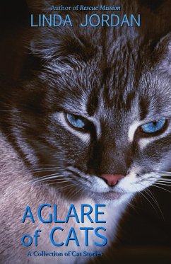Cover A Glare of Cats: A Collection of Cat Stories (eBook, ePUB)