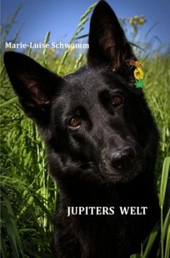 Cover Jupiters Welt