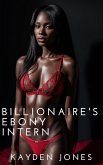Billionaire's Ebony Intern (Billionaires Ebony Servants Mega Collection, #1) (eBook, ePUB)