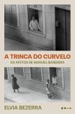 A trinca do Curvelo (eBook, ePUB)