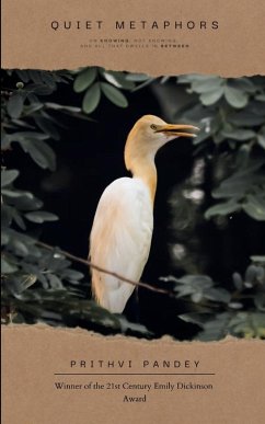 Quiet Metaphors - Pandey, Prithvi