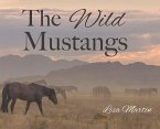 The Wild Mustangs The Wild Mustangs