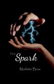The Spark