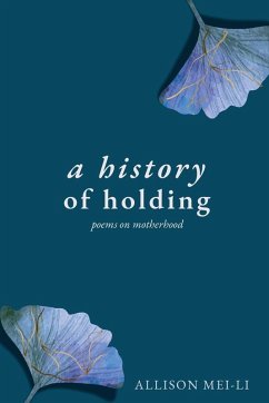 Cover A History of Holding