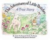 The Adventures of Little Britches The Adventures of Little Britches