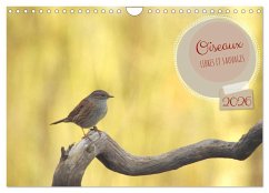 Oiseaux libres et sauvages (Calendrier mural 2026 DIN A4 vertical), CALVENDO calendrier mensuel Oiseaux libres et sauvages (Calendrier mural 2026 DIN A4 vertical), CALVENDO calendrier mensuel