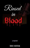 Rinsed in Blood: The Merthyr Murders (eBook, ePUB)
