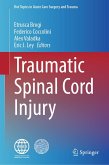 Traumatic Spinal Cord Injury (eBook, PDF)