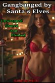 Gangbanged by Santa's Elves (eBook, ePUB)