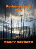 Redemption's Fire (eBook, ePUB)